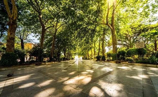 Piden solicitar que la Alameda sea declarada BIC en la categoría de